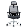 Fashion Ergonomic Mesh Office Chair 709A